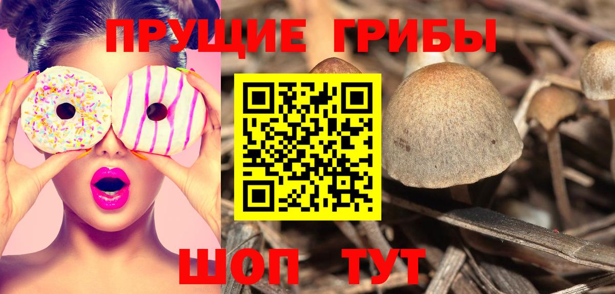 Галлюциногенные грибы ЛСД  Вход с VPN  Ахтубинск 